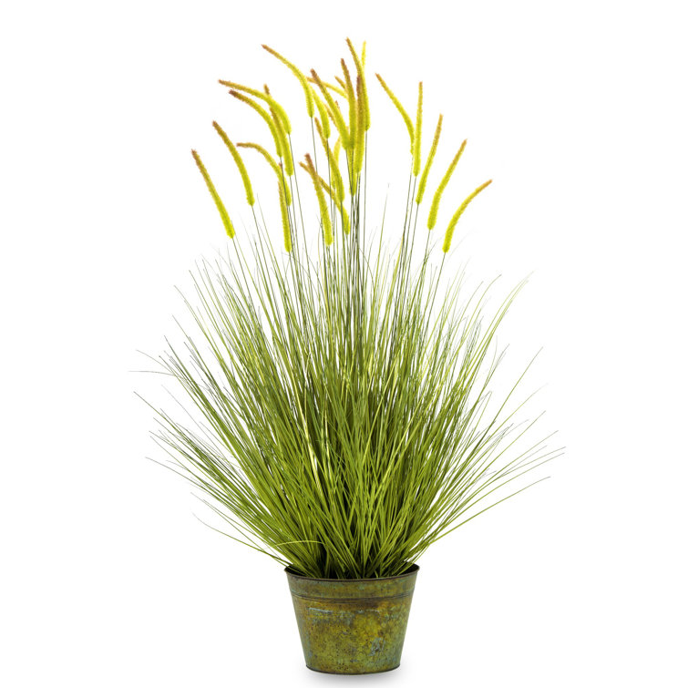 The Seasonal Aisle 140Cm Artificial Pampas Grass in Pot Wayfair.co.uk